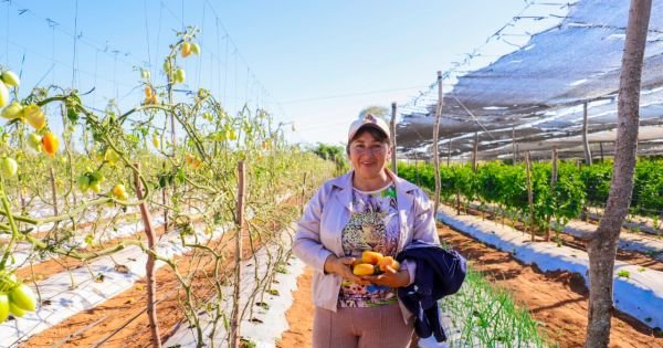 Initiativen zur Entwicklung der paraguayischen Landwirtschaft - Mercopress