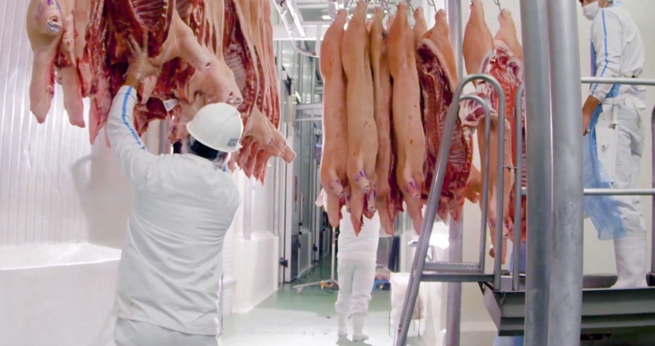 Taiwan wird als Hauptziel von Paraguayan Pork - Power - Digital Zeitung konsolidiert
