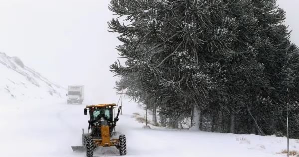In Argentinien lässt die Polarwelle nach, während Patagonien mit Regen, Schnee und Böen von 90 km/h konfrontiert ist